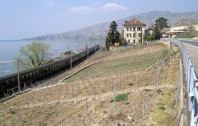 SBB Rivaz-Epesses, 1995