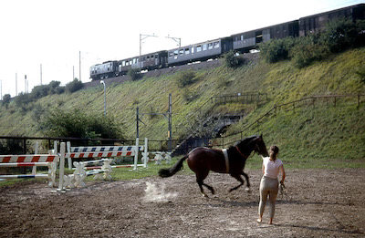 SBB, Lenzburg, Personenzug mit Ae 3/6 II, unten Linie Wildegg-Lenzburg, Aufnahme 1969