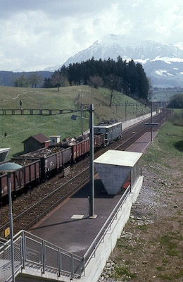 SBB, Haltestelle Meierskappel-Risch mit Rigi im Hintergrund, Güterzug mit Ae 6/6, Aufnahme 1967